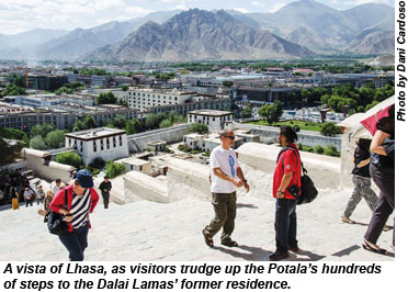 Lhasa vista