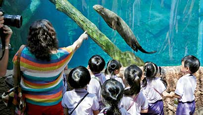 Singapore-RiverSafari410
