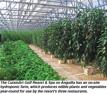 CuisinArt hydroponic farm CuisinArt hydroponic farm