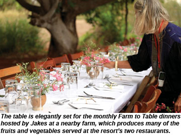 Farm to Table dinner