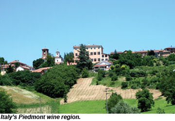 Piedmont wine region in Italy