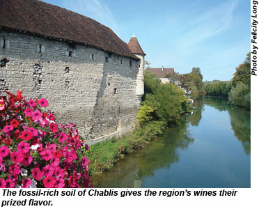 Chablis, France Chablis, France
