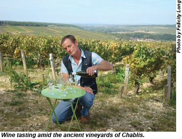 Chablis tasting Chablis tasting