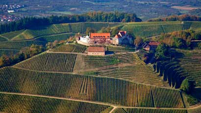 SchlossStaufenberg-winery410