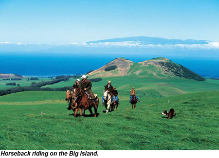 Big Island Horseback Riding