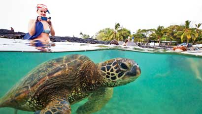 BigIslandTurtle-Snorkelers410