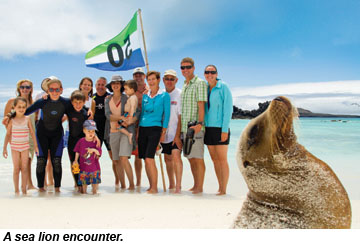 Sea lion encounter