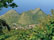 Mount Scenery on Saba