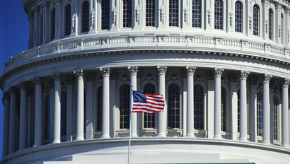 CapitolFlag410x232