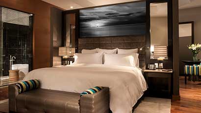 LiveAquaBosques-room410