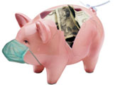 swineflubank