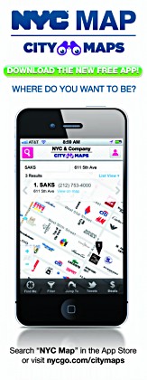 NYCSmartphoneMap(1)