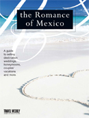 SRM11711Cover_image