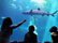 Maui Ocean Center