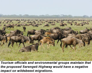 AFRICA-SerengetiWildebeest