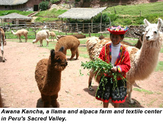 PERU-llama