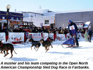 Alaska-Fairbanks-DogSledTeam