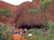 Ayers Rock