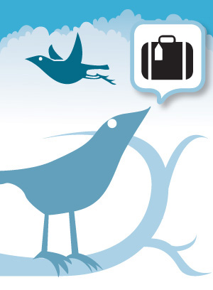 Social media frenzy